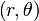 \left( r, \theta \right)